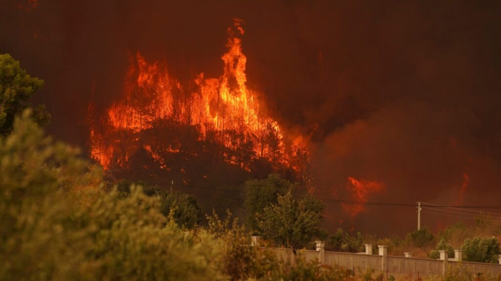 incendio forestal arrasa explotación ganadera 