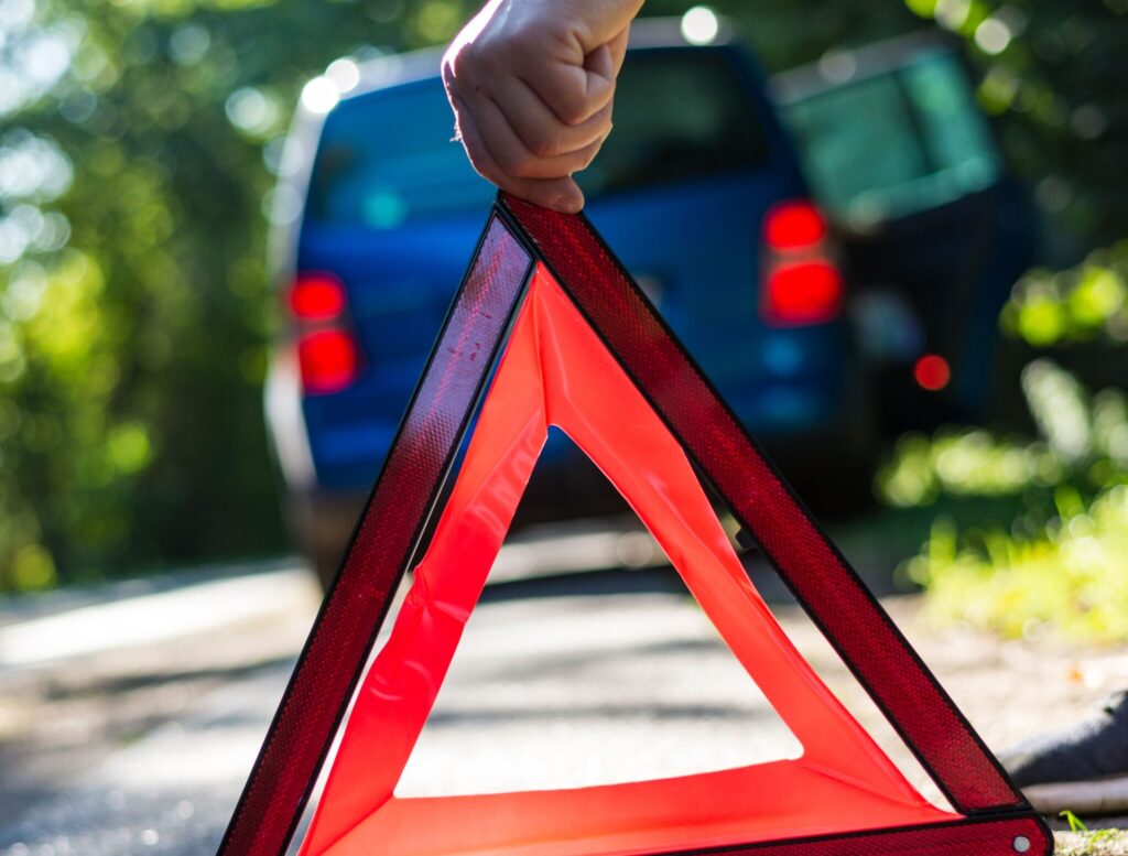 accidente de tráfico por animales sueltos